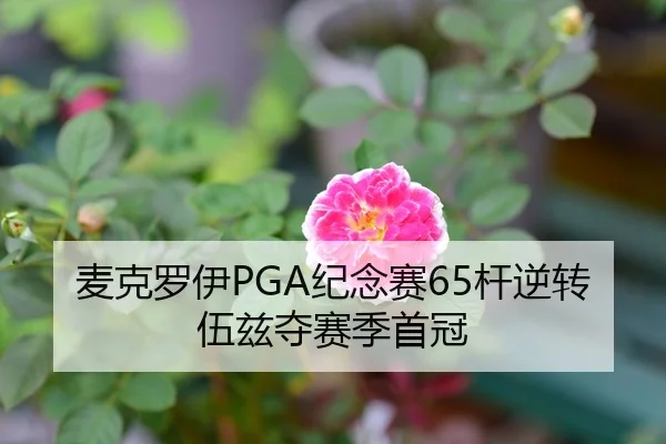 麦克罗伊PGA纪念赛65杆逆转伍兹夺赛季首冠