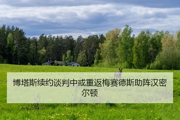 博塔斯续约谈判中或重返梅赛德斯助阵汉密尔顿