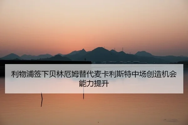 li-wu-pu-qian-xia-bei-lin-e-mu-ti-dai-mai-ka-li-si-te-zhong-chang-chuang-zao-ji-hui-neng-li-ti-sheng-3-464.jpg