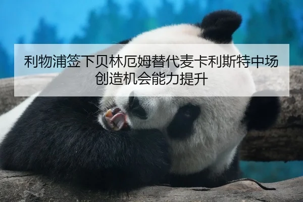利物浦签下贝林厄姆替代麦卡利斯特中场创造机会能力提升