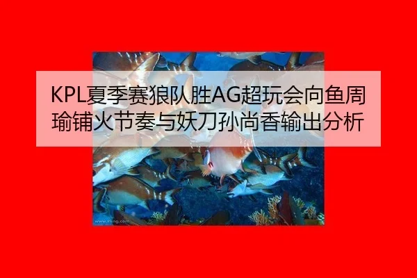 xia-ji-sai-lang-dui-sheng-chao-wan-hui-xiang-yu-zhou-yu-pu-huo-jie-zou-yu-yao-dao-sun-shang-xiang-shu-chu-fen-xi-3-740.jpg